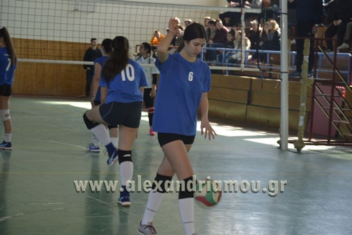 volley_1o-alexandreias-melikis2018 (50)